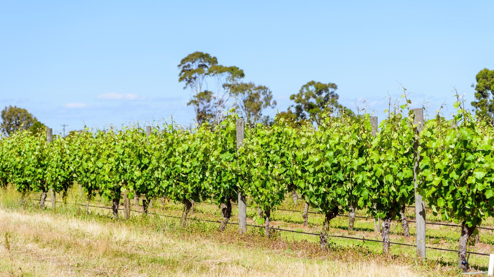 Tiny Home for Workers